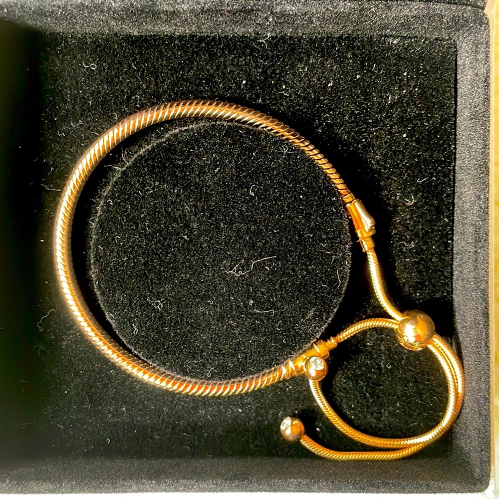 Pandora Braclet